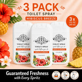 Basin & Bliss Before You Go Toilet Spray – Hibiscus Breeze Scent, 3 Pack, 1 fl oz Each