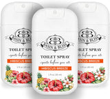 Basin & Bliss Before You Go Toilet Spray – Hibiscus Breeze Scent, 3 Pack, 1 fl oz Each