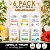 Basin & Bliss Toilet Spray, Spritz Before You Sit, Travel Size, 1 fl oz, 6 Pack, Assorted Scents